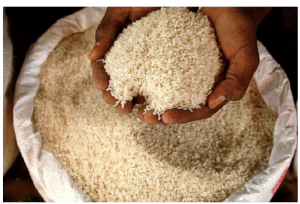 خرید برنج ایرانی 