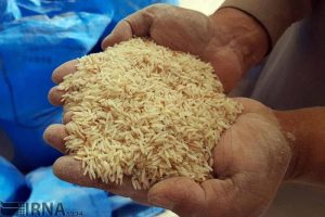 افزایش قیمت برنج سال 1399