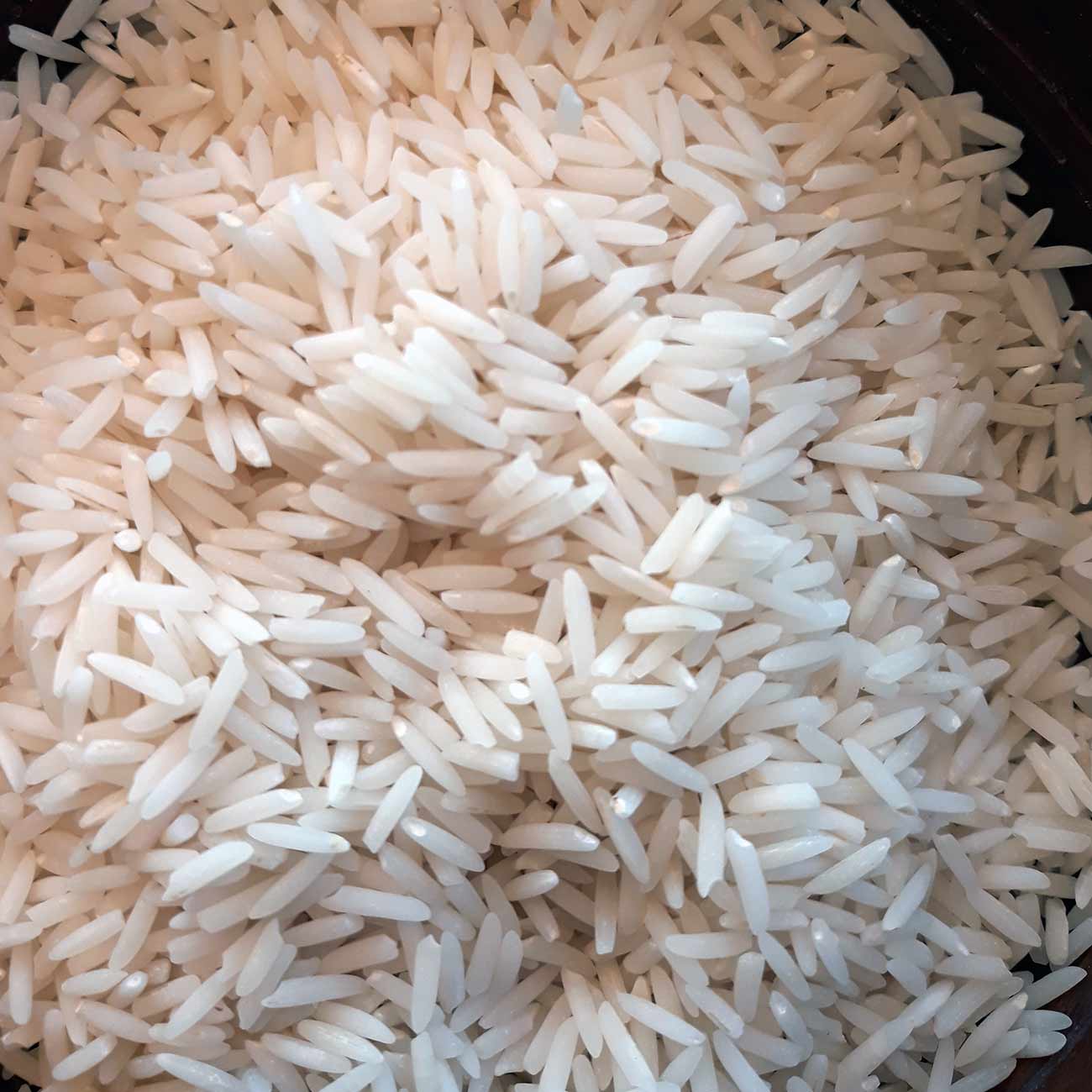 خرید برنج دم سیاه