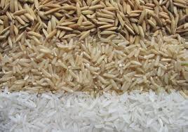 فروش‌ برنج سبوس دار