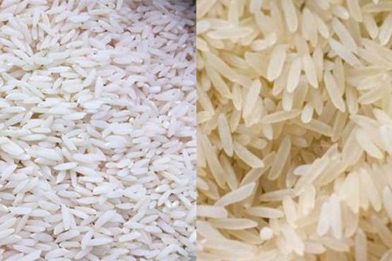 فروش برنج طارم محلی 