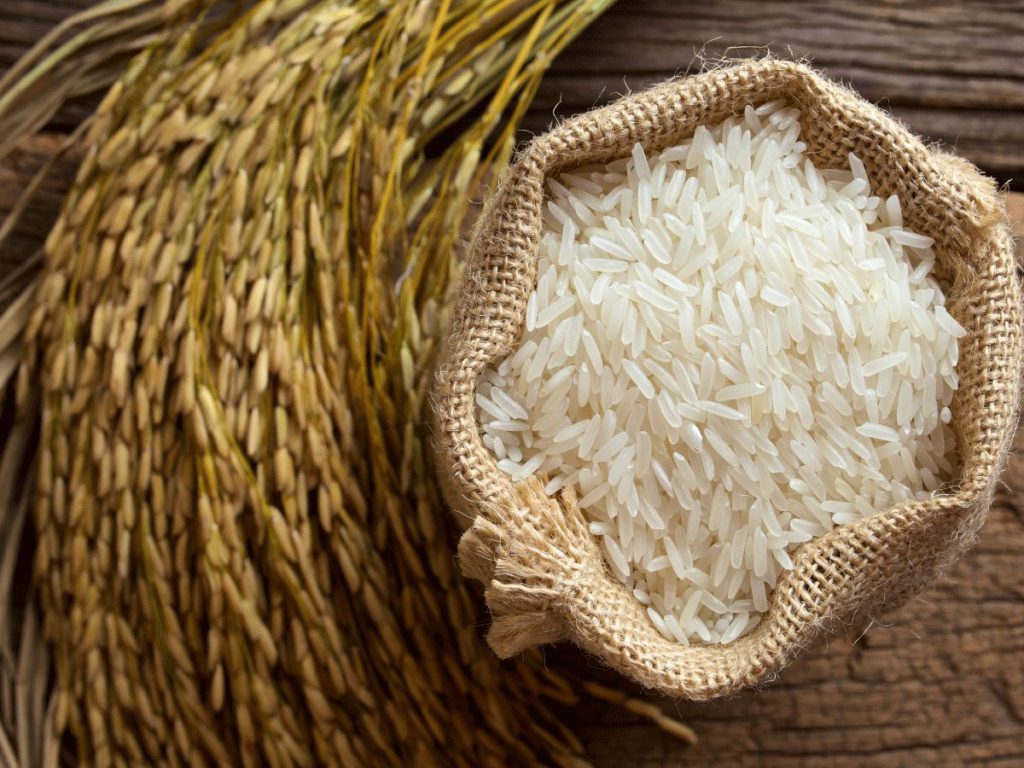 برنج هاشمی شمشیری