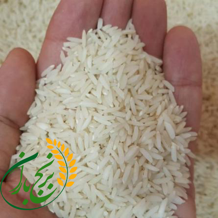 خرید برنج اینترنتی