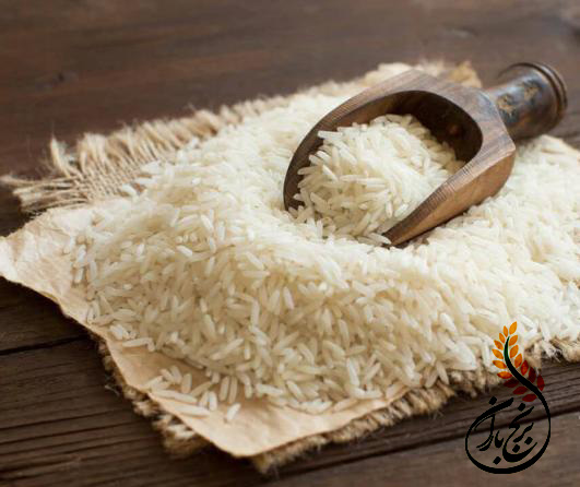پخش عمده برنج مشهد