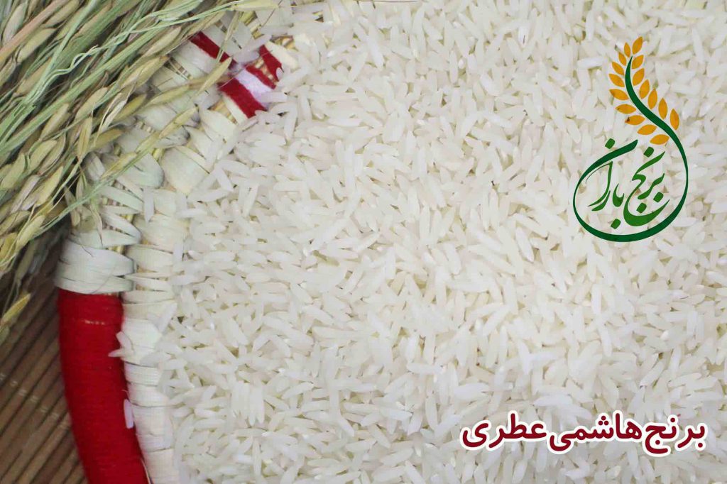فروش برنج ارزان قیمت 