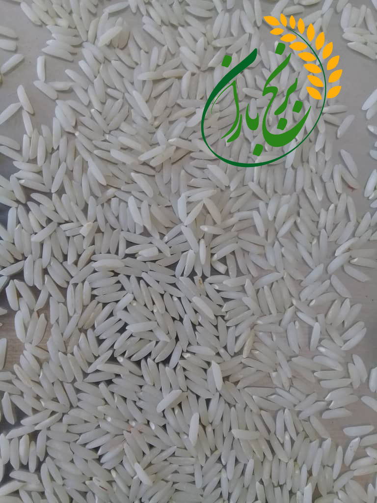 برنج دم سیاه فریدونکنار