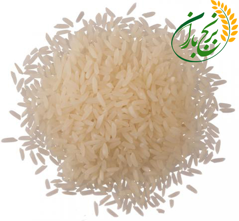 برنج شیرودی شمال 10 کیلوگرمی
