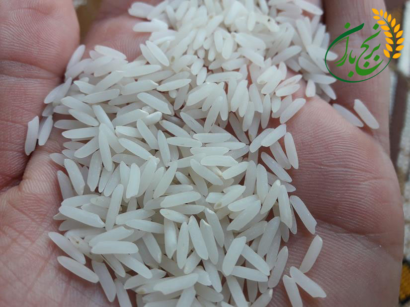 برنج ندا درجه یک