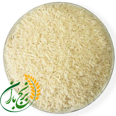 برنج سرگل شیرودی