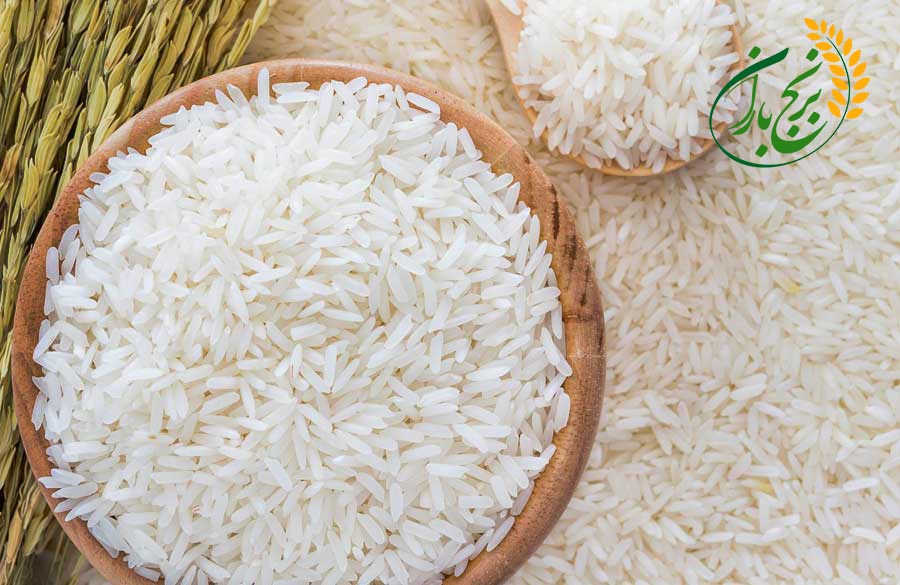 خرید برنج عمده شمال