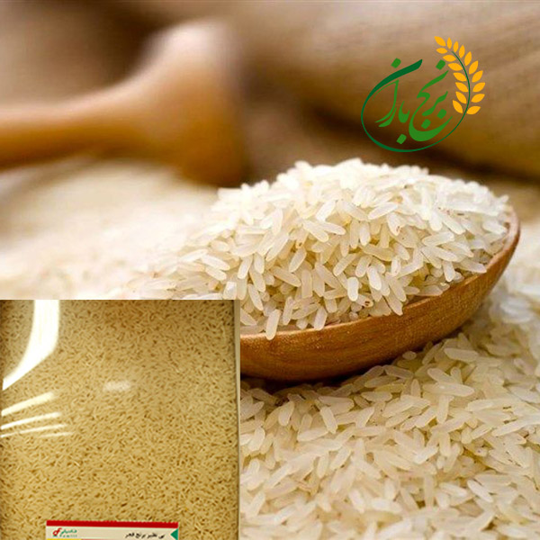 برنج عمده شمال