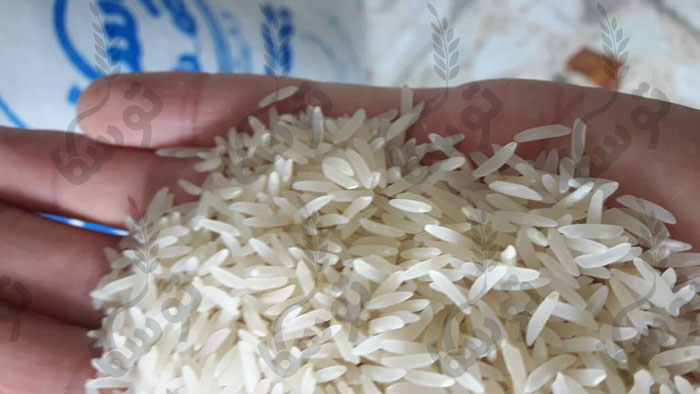 برنج عمده شمال