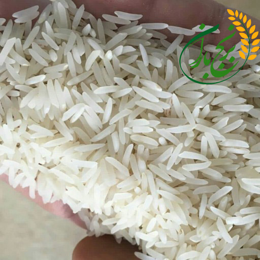 قیمت برنج شمال امسال
