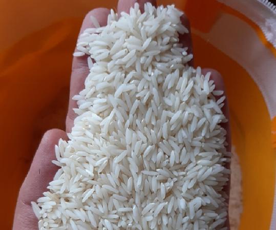 برنج فروشی شمال