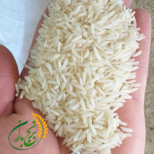 قيمت جديد برنج شمال