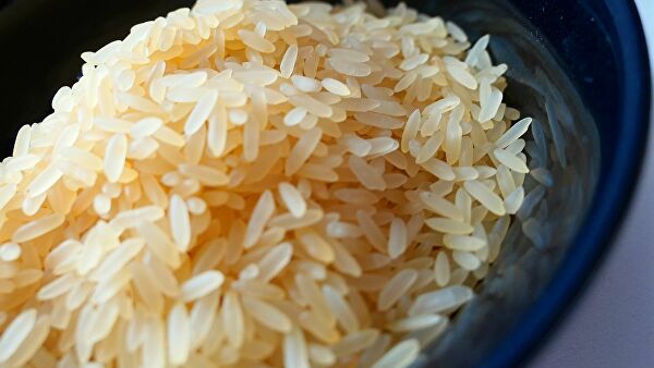 برنج پاکستانی طبیعت