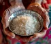 مشخصات، قیمت و خرید برنج طارم مجلسی